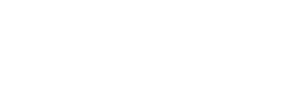 Elit'Avia Logo